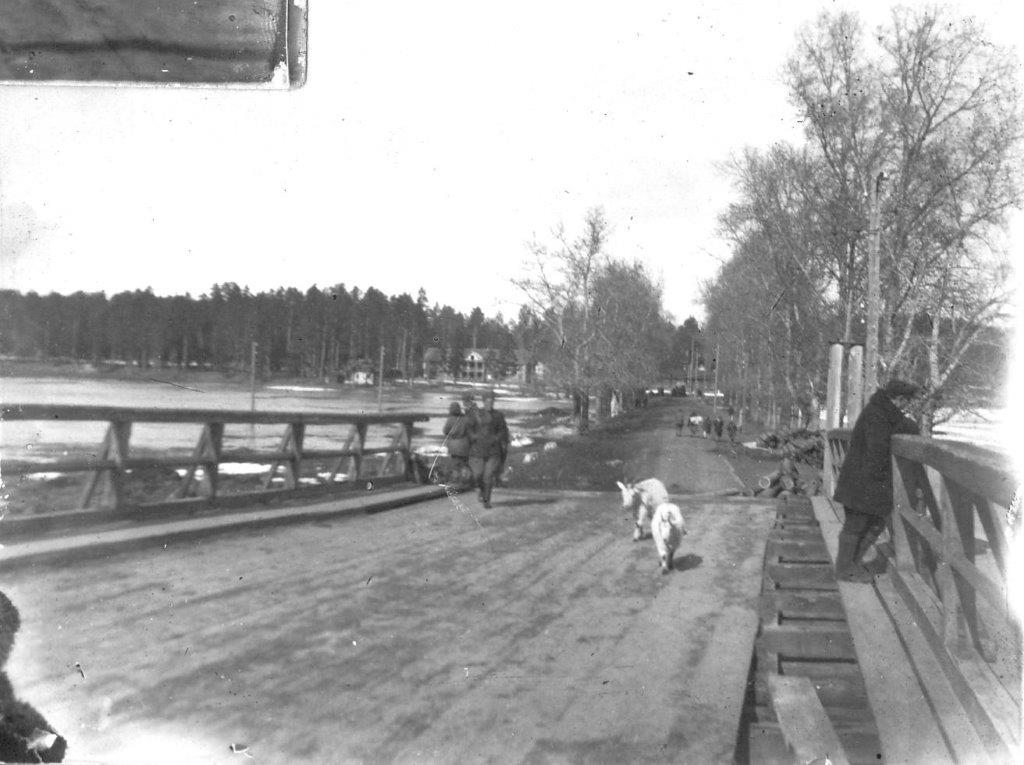 Мост. 1945