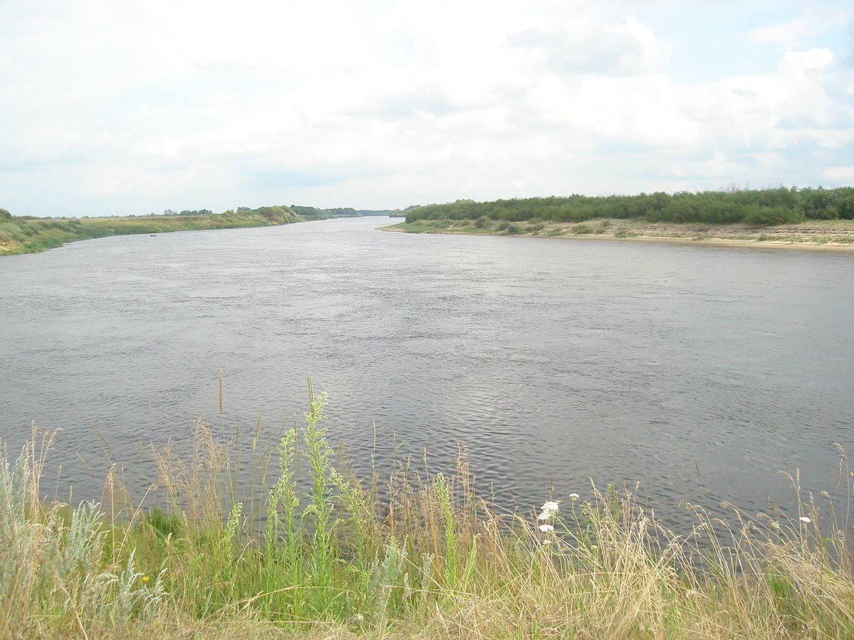 145. Широка страна