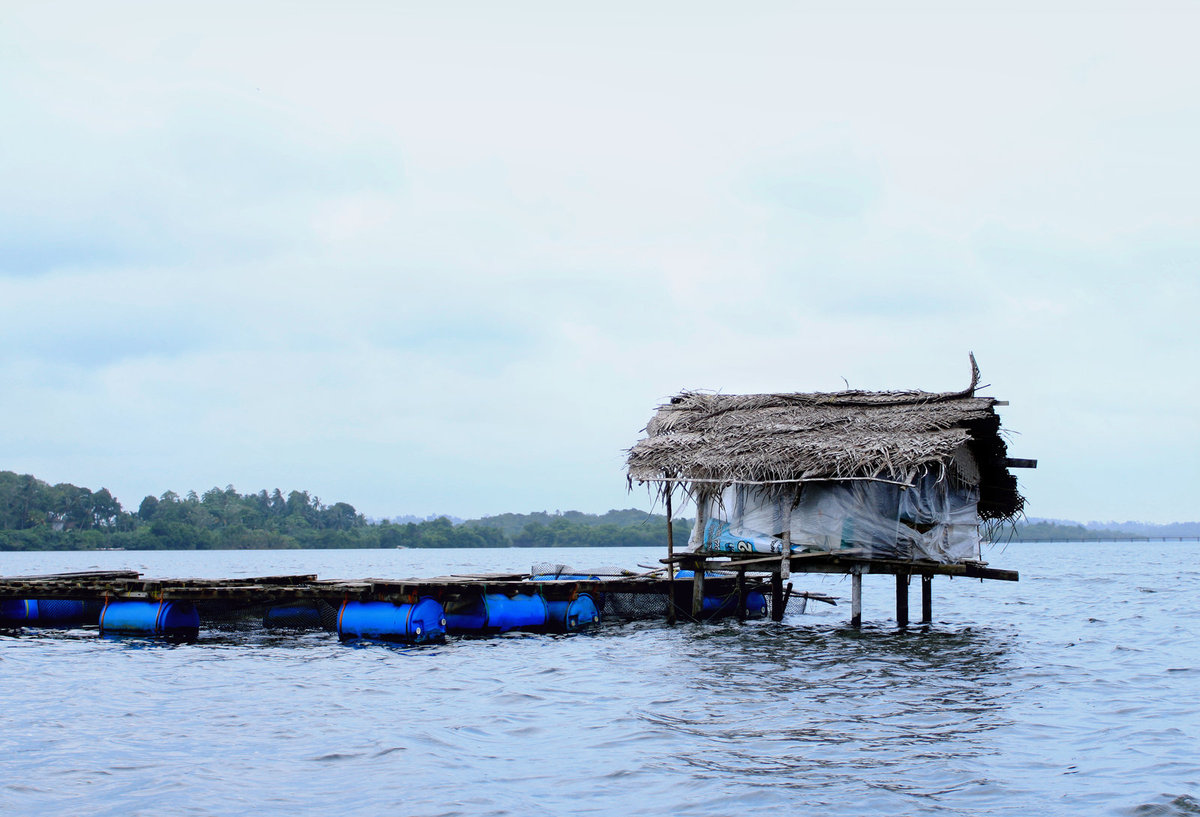 104. с милым рай в шалаше )