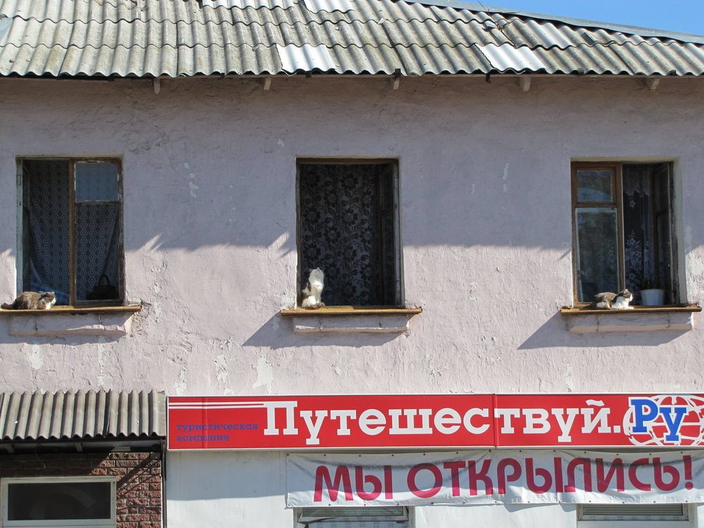 119. Турагенство - Всё будет МЯУ