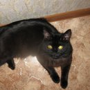 IMG_0758