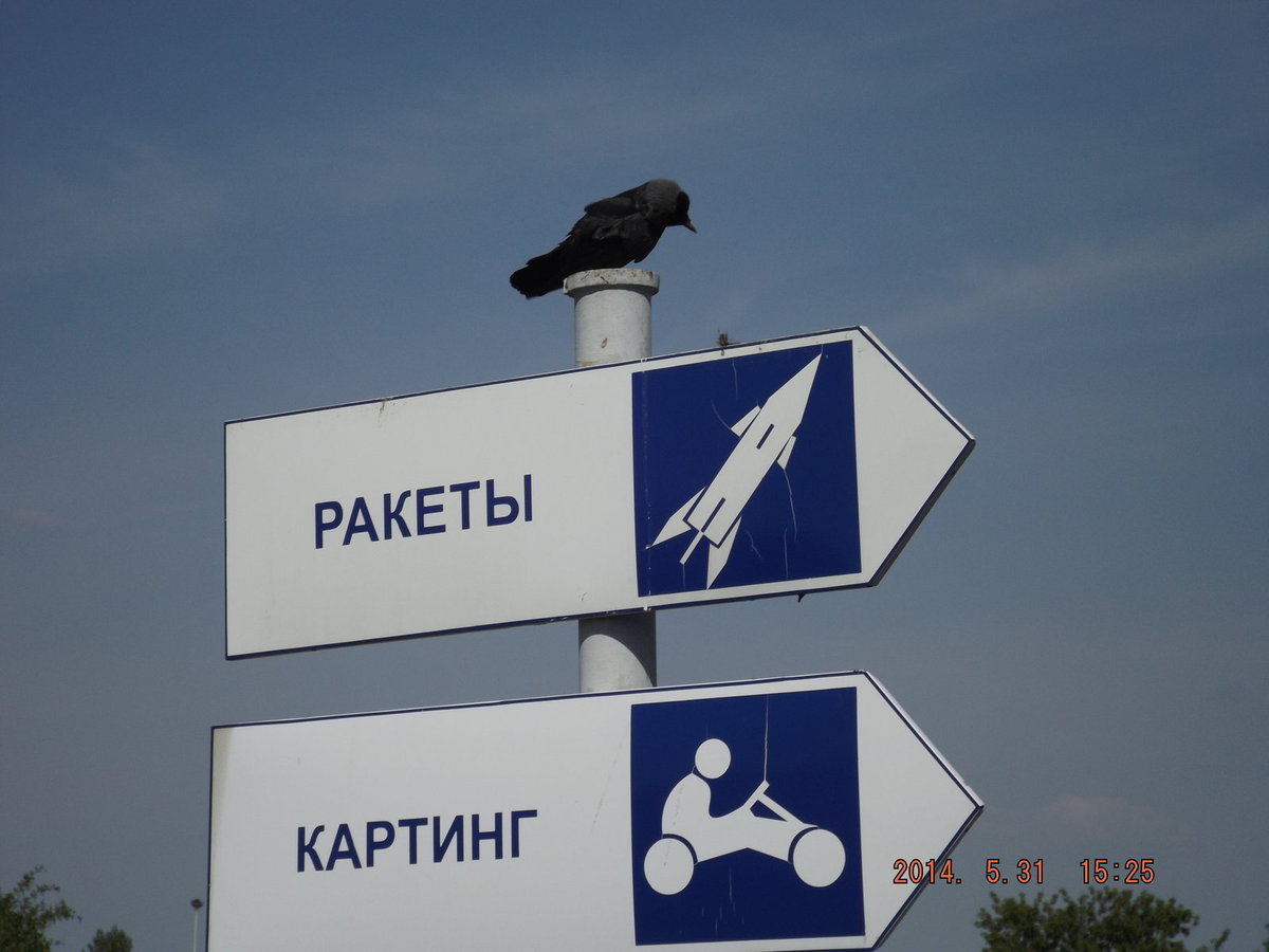 140_Галка-гид