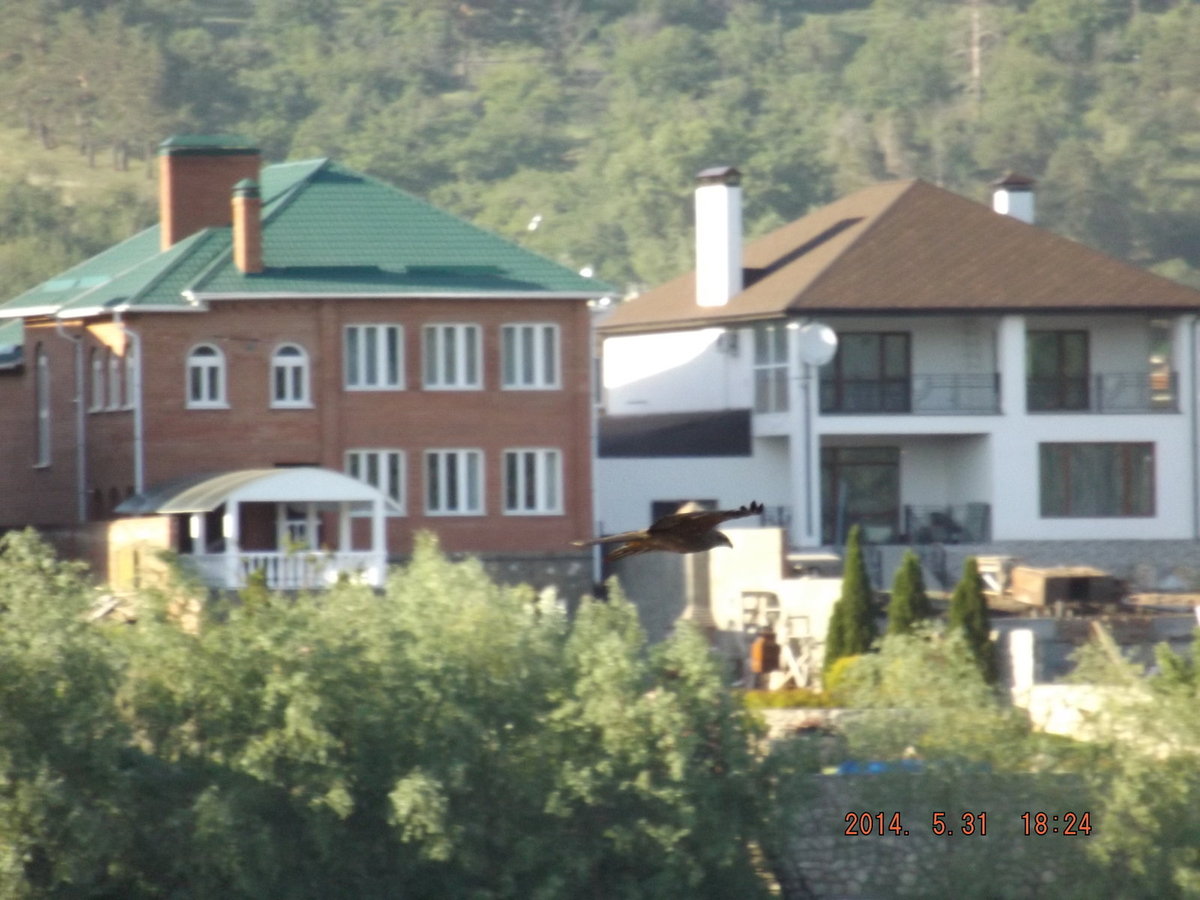 156_Скромные летние домики