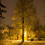 Зима-весна 2011-2012 гг.