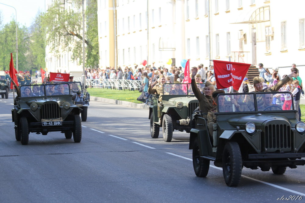 9 мая 2016 - А. Аржанов 23.jpg