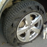 Кот обглодал колесо