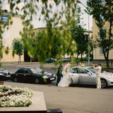 _DSC0787