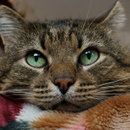 DSC00029