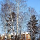 DSC04867