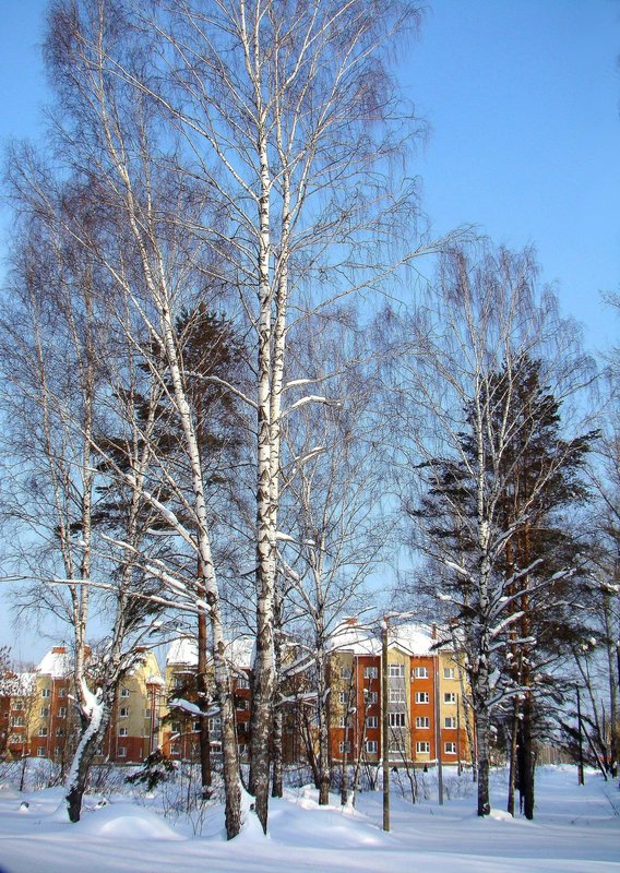 DSC04867