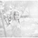 DSC07390