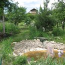 IMG_0133