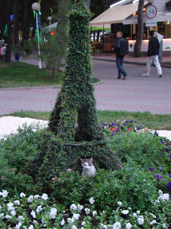 230. чем не тенёк