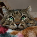 DSC00029