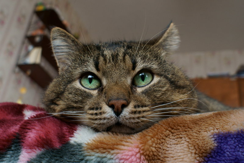 DSC00029