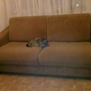 24022012477