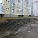 10042012278