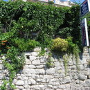 STA_2604