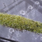 DSC00983