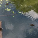 IMG_0066
