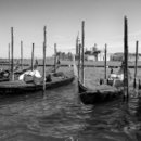 IMG_2810