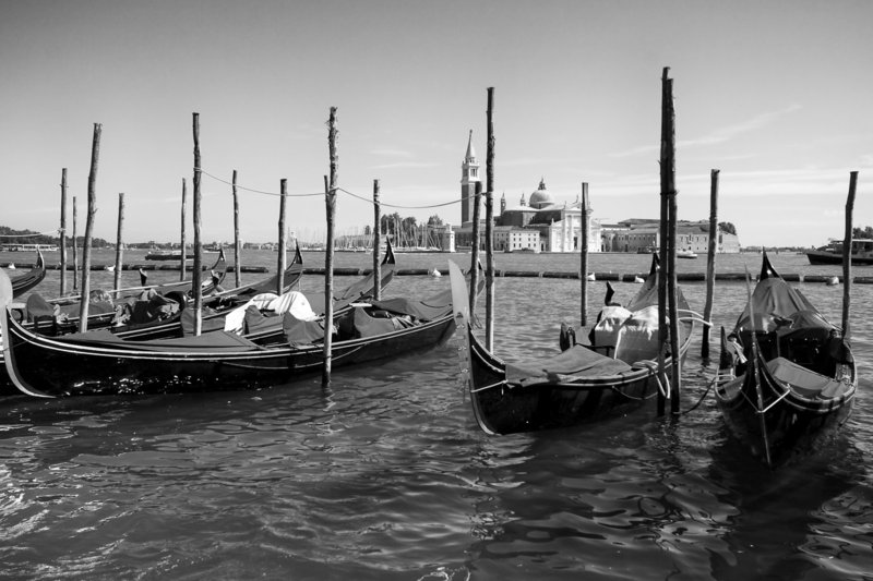 IMG_2810