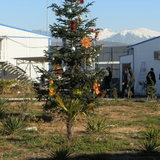PC300166.JPG