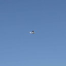 IMG_6487
