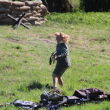 IMG_3406.JPG
