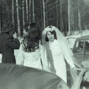 img031 - копия