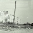 img219 - копия