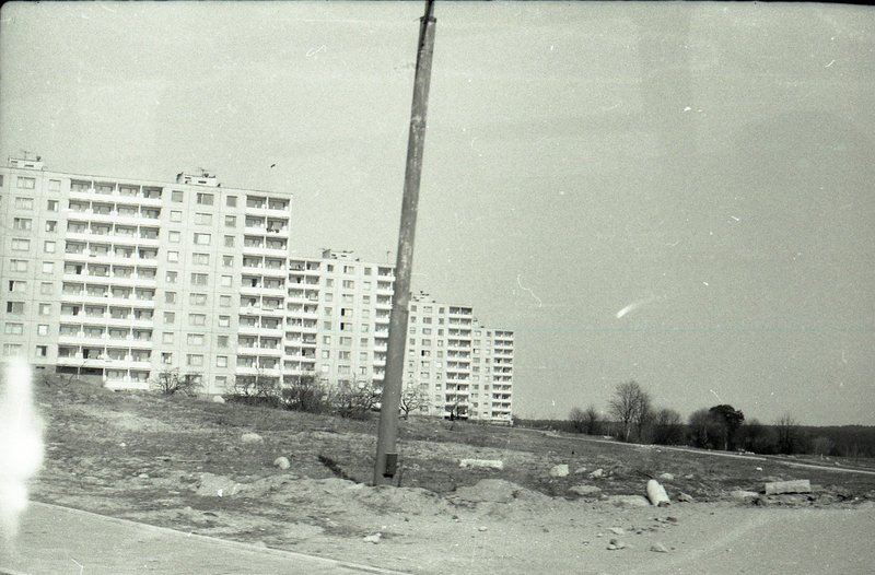 img219 - копия