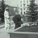img285 - копия