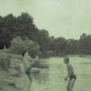 img315