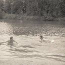 img319