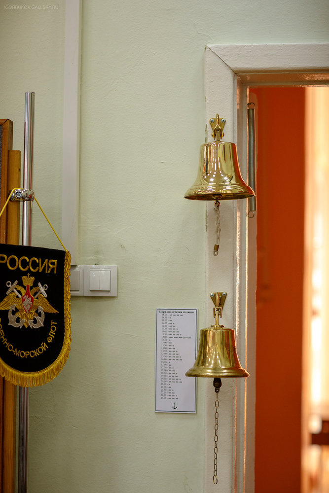 _MG_4910.jpg