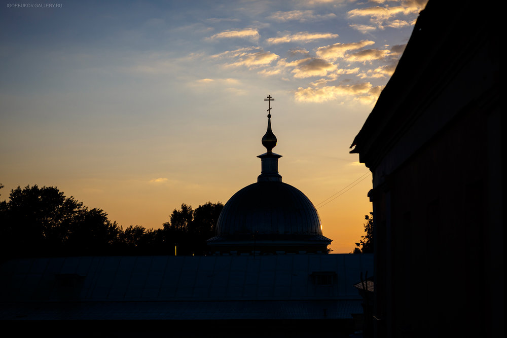 _MG_5039.jpg