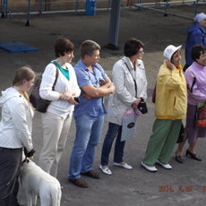 029_Нестройный хор провожающих