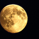 image_001.png