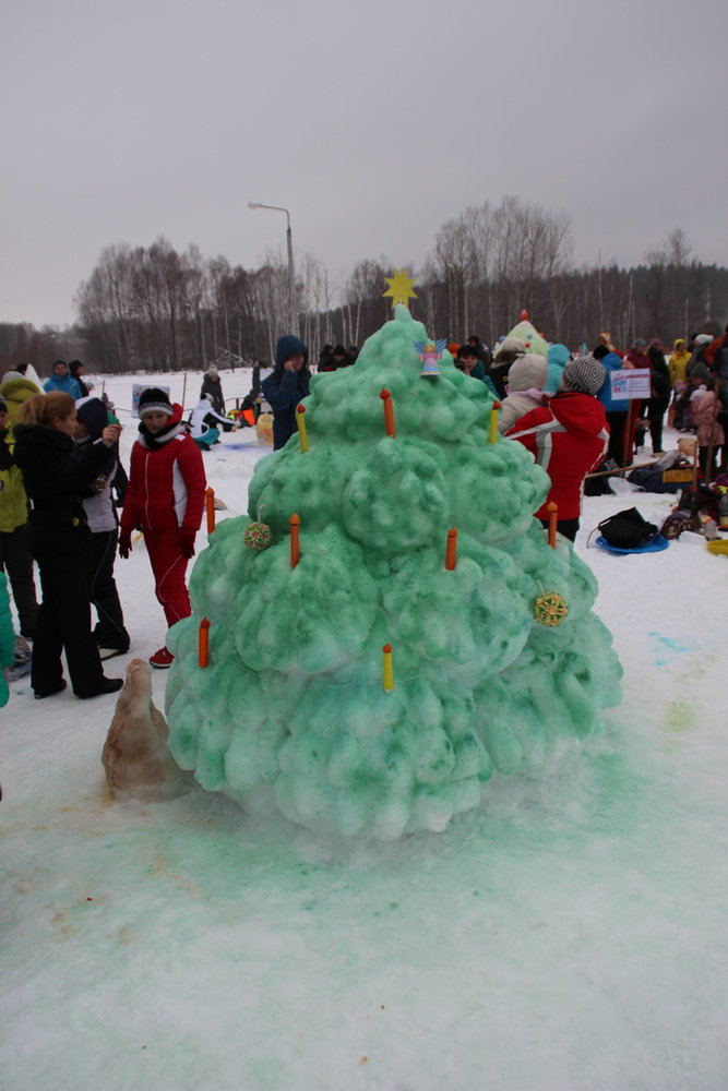 День снега 2015 - 49.jpg