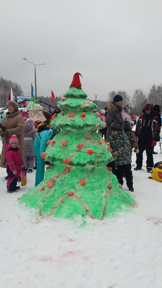 День снега 2015 - 80.jpg