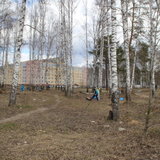IMG_9337