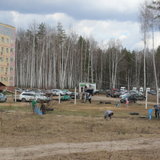 IMG_9338