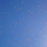 DSC05916.JPG