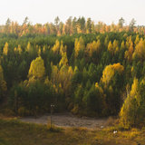 DSC03548