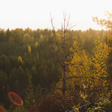 DSC03609