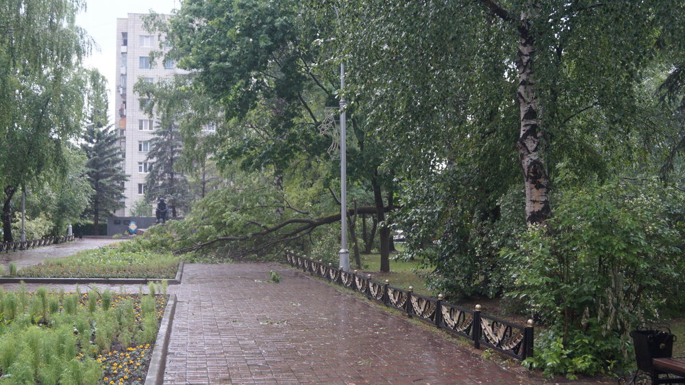 Последствия урагана - 26