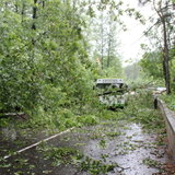 Последствия урагана - 30