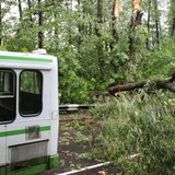 Последствия урагана - 32