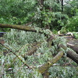 Последствия урагана - 33